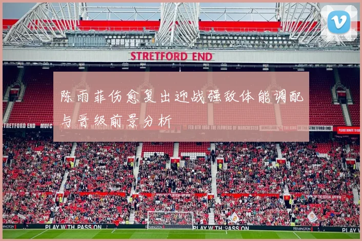 陈雨菲伤愈复出迎战强敌体能调配与晋级前景分析